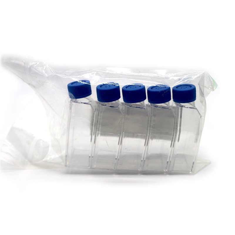 cell culture flask