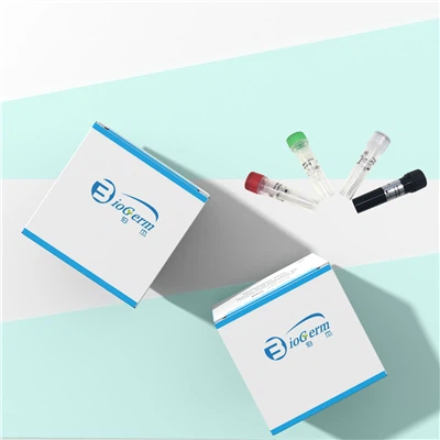 Kit Pengesanan Virus Monkeypox Penyiasatan PCR-Pendarfluor